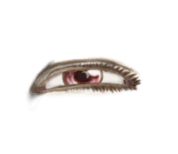 Talking Eyes sticker #9500357