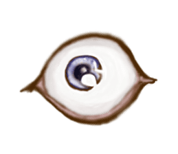 Talking Eyes sticker #9500360