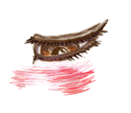 Talking Eyes sticker #9500365