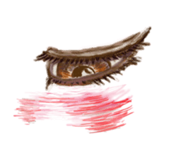 Talking Eyes sticker #9500365