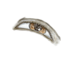 Talking Eyes sticker #9500369