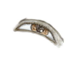 Talking Eyes sticker #9500369