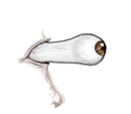 Talking Eyes sticker #9500378