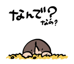 I'm mole! 3 sticker #9502329