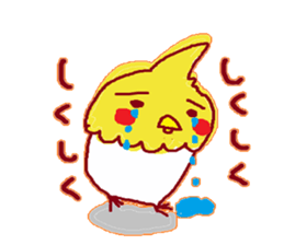 Okame, The Cockatiel sticker #9503551