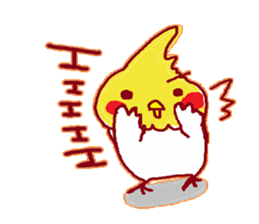 Okame, The Cockatiel sticker #9503554