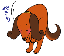 Pretty stickers of the dachshund. sticker #9505947