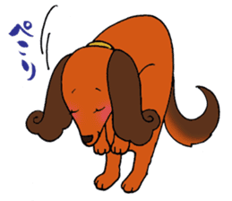 Pretty stickers of the dachshund. sticker #9505947
