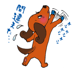 Pretty stickers of the dachshund. sticker #9505950