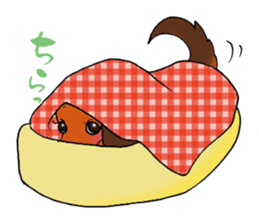 Pretty stickers of the dachshund. sticker #9505952