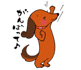 Pretty stickers of the dachshund. sticker #9505956