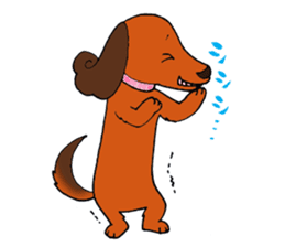 Pretty stickers of the dachshund. sticker #9505969