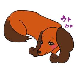 Pretty stickers of the dachshund. sticker #9505972