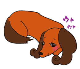 Pretty stickers of the dachshund. sticker #9505972