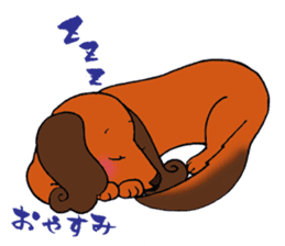 Pretty stickers of the dachshund. sticker #9505973