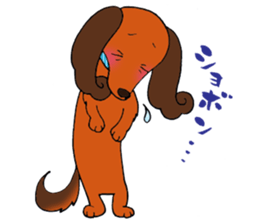 Pretty stickers of the dachshund. sticker #9505974
