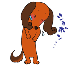 Pretty stickers of the dachshund. sticker #9505974