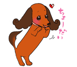 Pretty stickers of the dachshund. sticker #9505977