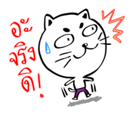 Cat in Pants sticker #9508389