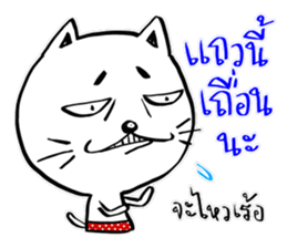 Cat in Pants sticker #9508405