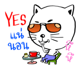 Cat in Pants sticker #9508413