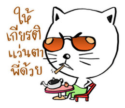 Cat in Pants sticker #9508414