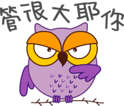 Owl Daily Life Second sticker #9510435