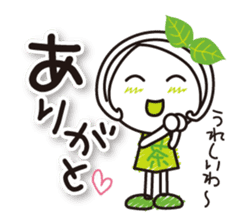 Machako Kyoto Uji born Matcha sticker #9517104