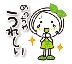 Machako Kyoto Uji born Matcha sticker #9517106