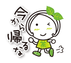 Machako Kyoto Uji born Matcha sticker #9517112