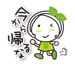 Machako Kyoto Uji born Matcha sticker #9517112