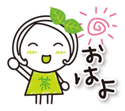 Machako Kyoto Uji born Matcha sticker #9517114