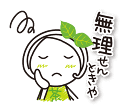 Machako Kyoto Uji born Matcha sticker #9517127