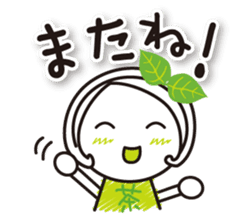 Machako Kyoto Uji born Matcha sticker #9517132