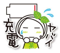 Machako Kyoto Uji born Matcha sticker #9517133