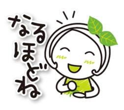 Machako Kyoto Uji born Matcha sticker #9517134