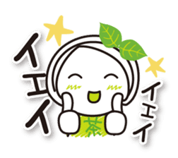 Machako Kyoto Uji born Matcha sticker #9517143