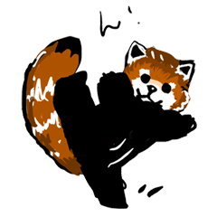 lesser panda's slow life
