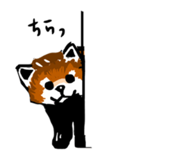 lesser panda's slow life sticker #9520030