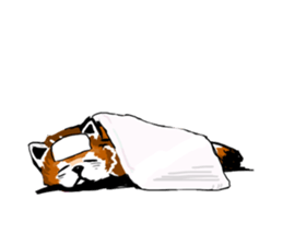 lesser panda's slow life sticker #9520032