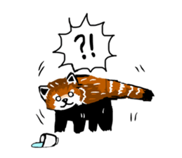 lesser panda's slow life sticker #9520060