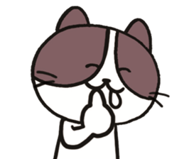 Tamaki of the cat sticker #9522418