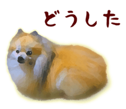 Pomeranian Junco real sticker #9522985