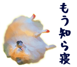 Pomeranian Junco real sticker #9522986