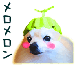 Pomeranian Junco real sticker #9522988