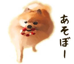 Pomeranian Junco real sticker #9522989