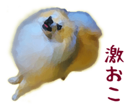 Pomeranian Junco real sticker #9522990