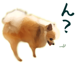 Pomeranian Junco real sticker #9522992