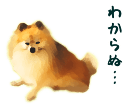 Pomeranian Junco real sticker #9522994