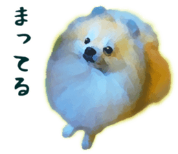 Pomeranian Junco real sticker #9522995